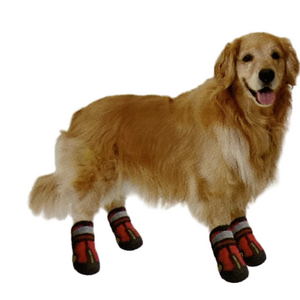 Red and Black Dog Boots